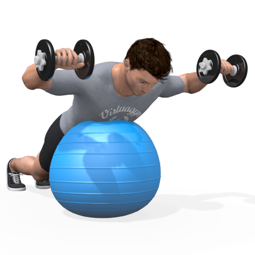 Exercise Ball Shoulder Rotation Video Exercise Guide