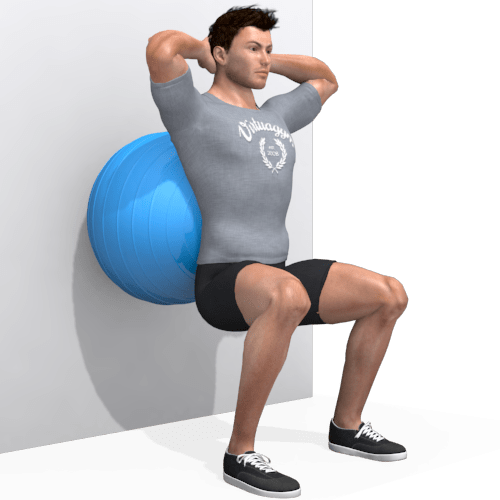 Exercise Ball Wall Squat Video Exercise Guide