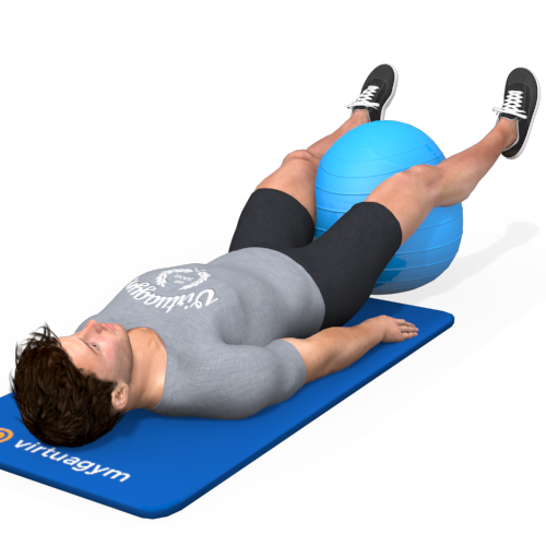 Exercise Ball Hip Adduction Lying Video Exercise Guide