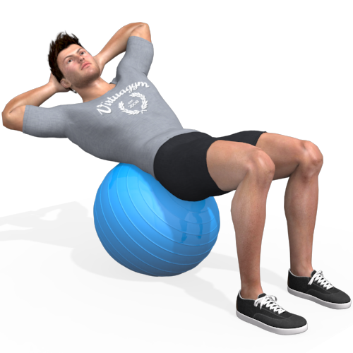 Exercise Ball Rotation Crunch Video Exercise Guide