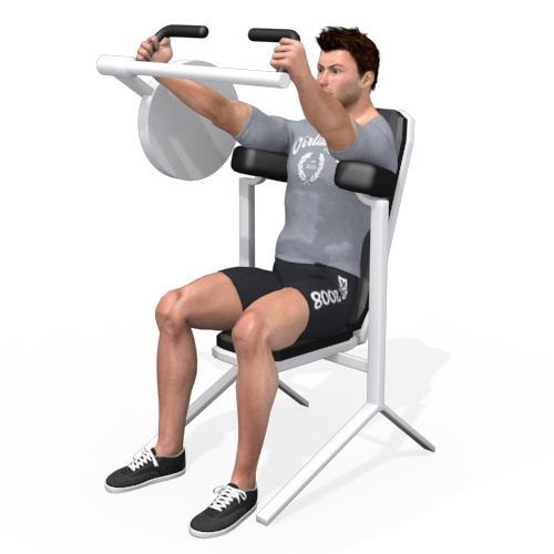 Triceps Extension Machine Video Exercise Guide