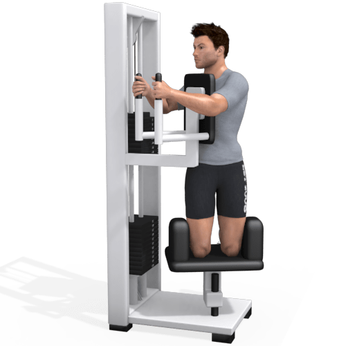 Rotary Torso Machine Kneeling Video Exercise Guide
