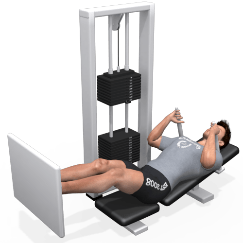Leg Press Machine Lying Video Exercise Guide