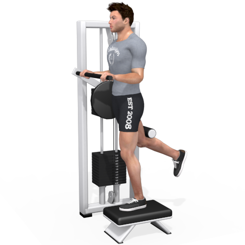 Hip Extension, Multi-hip Machine Video Exercise Guide