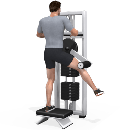 Hip Abduction, Multihip Machine Video Exercise Guide