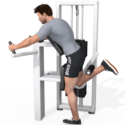 Standing Leg Curl Machine Video Exercise Guide