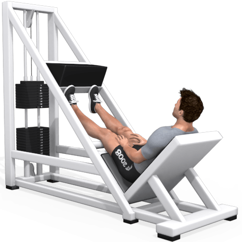 Calf Raise Incline Leg Press Machine Video Exercise Guide
