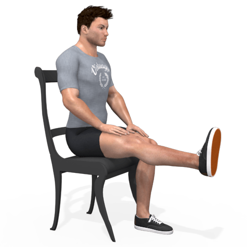 Leg Extension Seated Video Exercise Guide