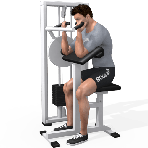 Preacher Curl Machine Video Exercise Guide
