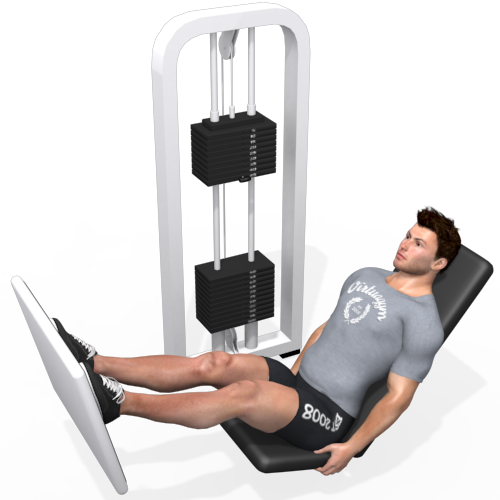 Seated Leg Press Machine Video Exercise Guide