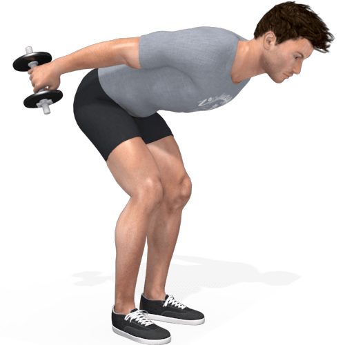 Dumbbells Bentover Kickback Video Exercise Guide