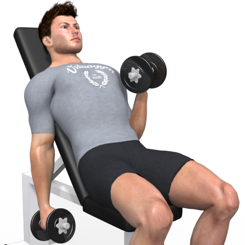 Dumbbells Biceps Curl Incline Alternating Video Exercise Guide 7612