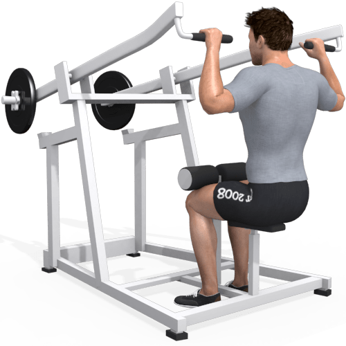 Vertical Traction Machine Video Exercise Guide