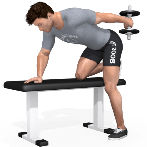 Dumbbells Triceps Kickback Video Exercise Guide