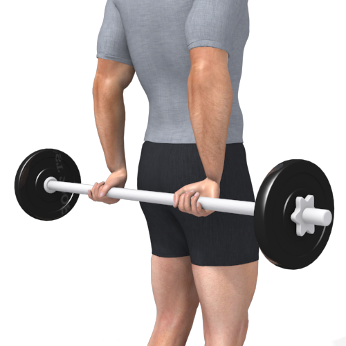 Barbell Wrist Curl Behind Back Video Exercise Guide
