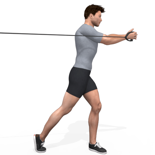 Pulley Wood Chop Horizontal Video Exercise Guide