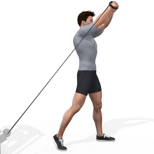 Pulley Wood Chop Low High Video Exercise Guide