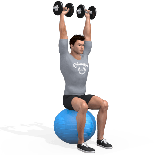 Exercise Ball Shoulder Press Seated Video Exercise Guide