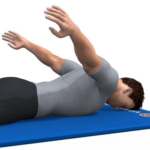 Arm Raise Prone Position Video Exercise Guide