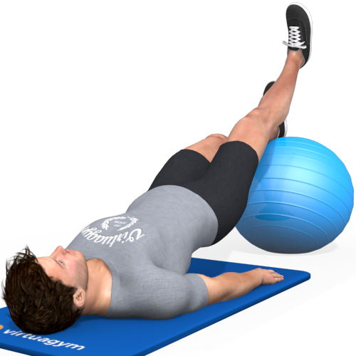 Exercise Ball Hip Bridge Leg Raise (alternating) Video Exercise Guide