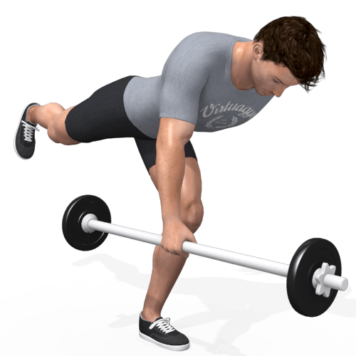 Barbell Balanced One Leg Deadlift Video Exercise Guide