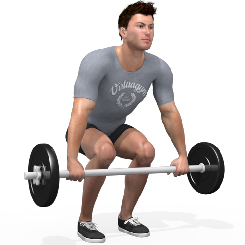 Barbell Hang Power Snatch Video Exercise Guide