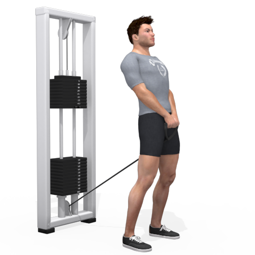 Pulley Pull Through Video Exercise Guide