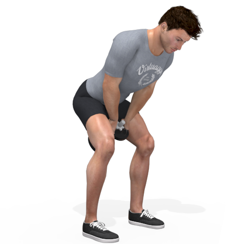 Dumbbells Swing Video Exercise Guide