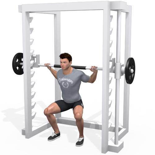 Squat Smith Machine Video Exercise Guide