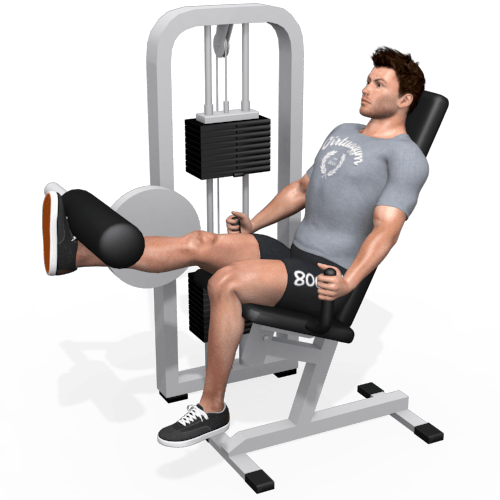 Leg Extension Machine Video Exercise Guide