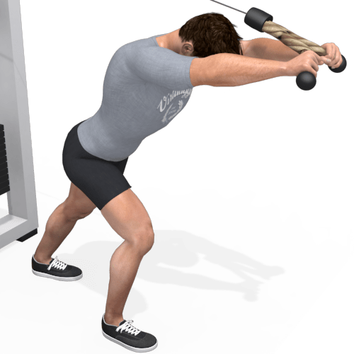 Pulley Overhead Triceps Extension Video Exercise Guide