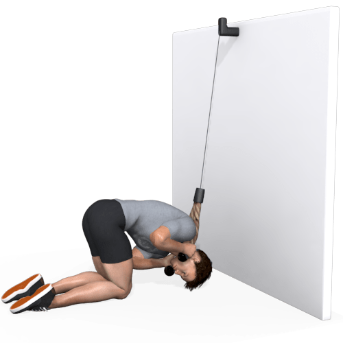 Pulley Kneeling Ab Crunch Rotated Video Exercise Guide