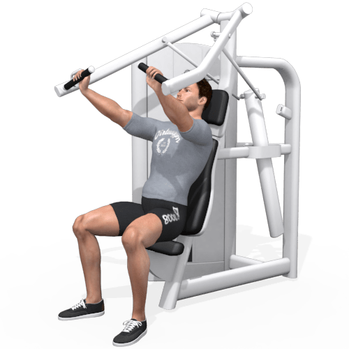 Seated Chest Press 2 Video Exercise Guide