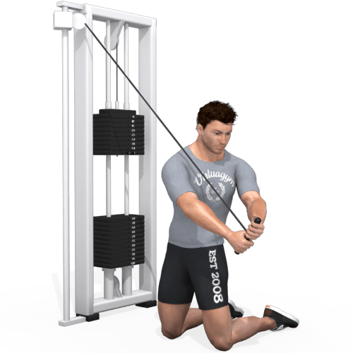 Pulley Chopper Highlow Kneeling Video Exercise Guide
