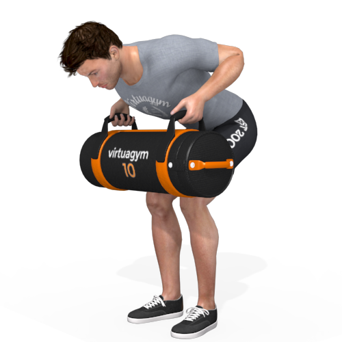 Sandbag Bent Over Row Video Exercise Guide 