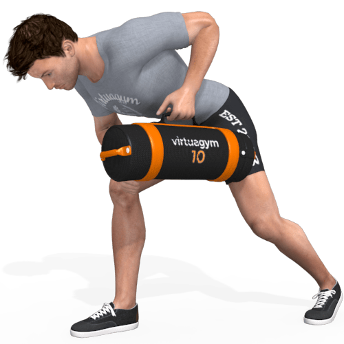 Sandbag One Arm Row Video Exercise Guide