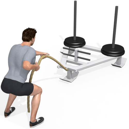 Prowler Sled Pull In Video Exercise Guide