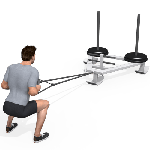 Prowler Sled Squat Row Walk Video Exercise Guide