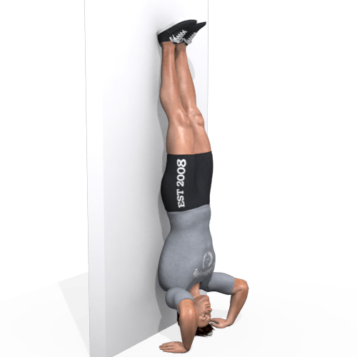 Wall Handstand Wall Pushup Video Exercise Guide
