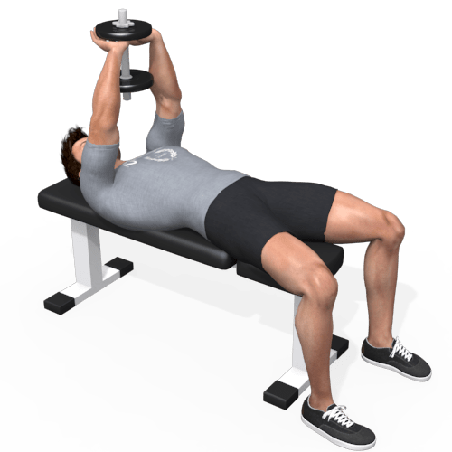 Dumbbells Pullover Video Exercise Guide