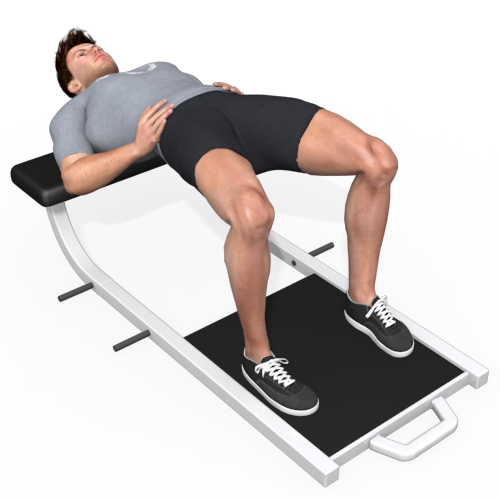 Bench Hip Thrust Video Exercise Guide