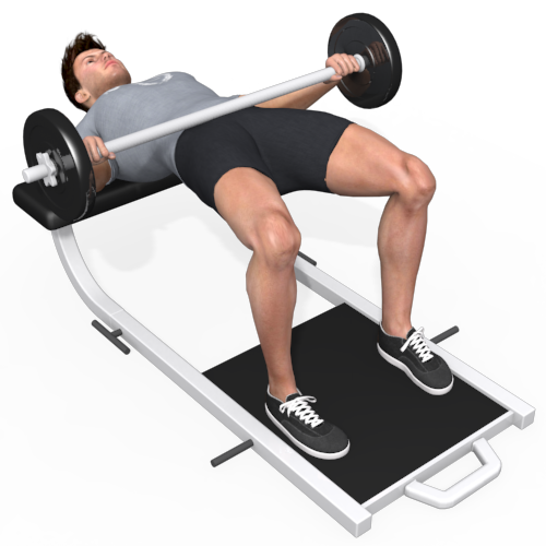 Barbell Hip Thrust Video Exercise Guide