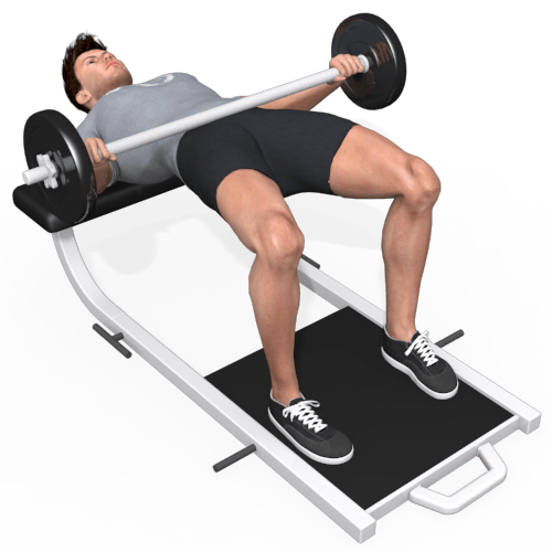 Barbell Hip Thrust Video Exercise Guide