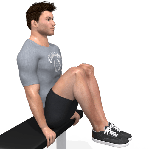 Bench Ab Bench Crunch Video Exercise Guide