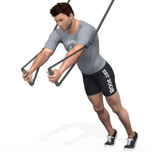 Suspension Trainer Fly Video Exercise Guide