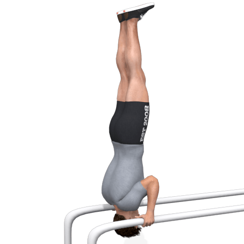 Parallel Bars Handstand Pushup Video Exercise Guide