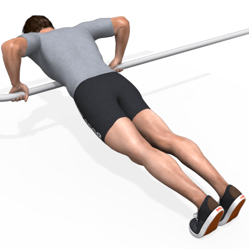 Parallel Bars Pushup Incline Video Exercise Guide