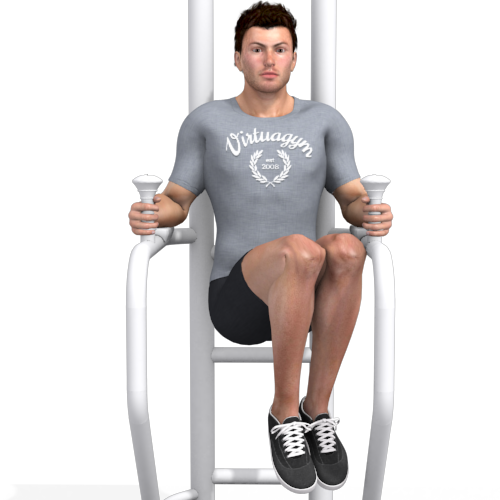 Knee Raise, Side, Captains Chair Video Exercise Guide
