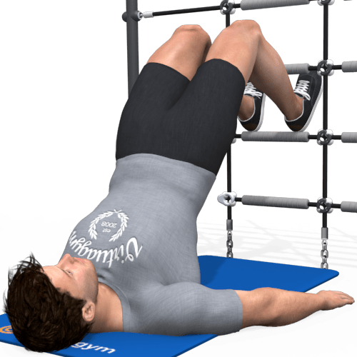 Hamstring Curl Video Exercise Guide