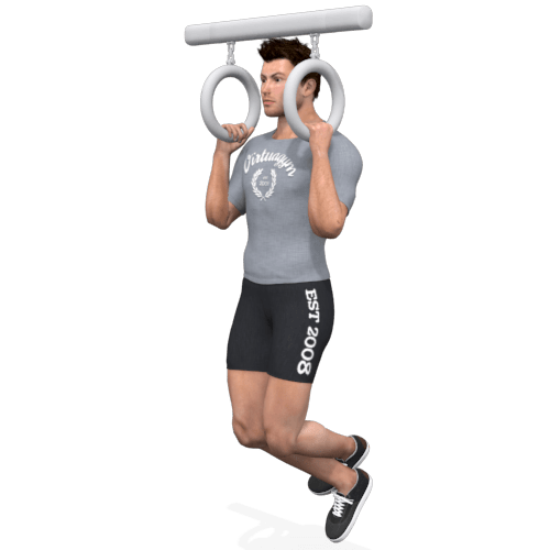 Suspension Trainer Pull Up, Rings Video Exercise Guide